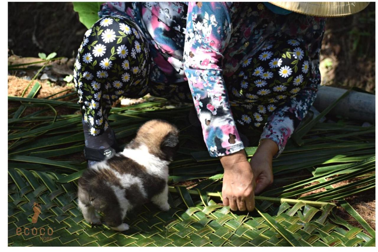 Ecoco Homestay Mekong 벤째 외부 사진