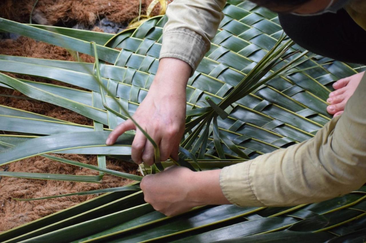 Ecoco Homestay Mekong 벤째 외부 사진