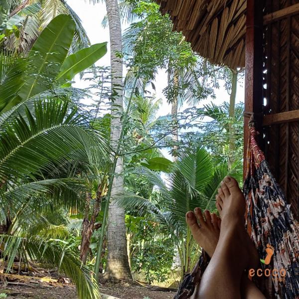Ecoco Homestay Mekong 벤째 외부 사진