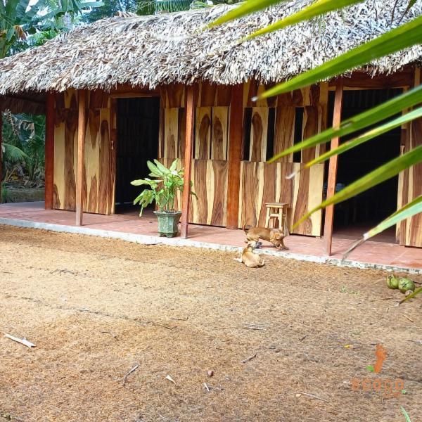 Ecoco Homestay Mekong 벤째 외부 사진